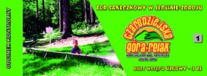 Tor saneczkowy - druk biletu